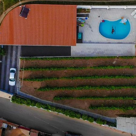 Casinha Das Bonecas - Casa Com Piscina Privada 阿威罗 外观 照片