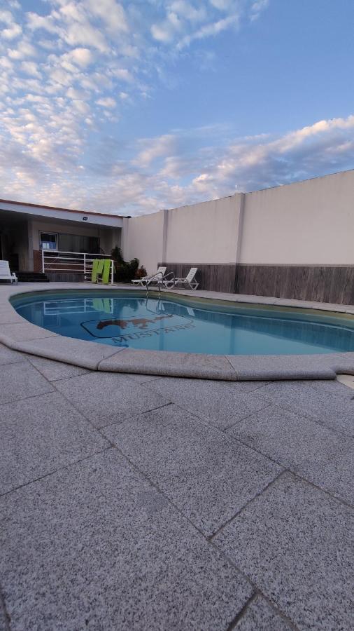 Casinha Das Bonecas - Casa Com Piscina Privada 阿威罗 外观 照片